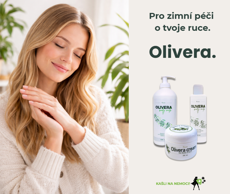 Snímek obrazovky 2026-01-09 181936